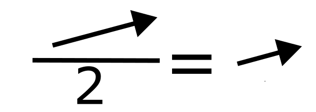 Dividing a vector by 2